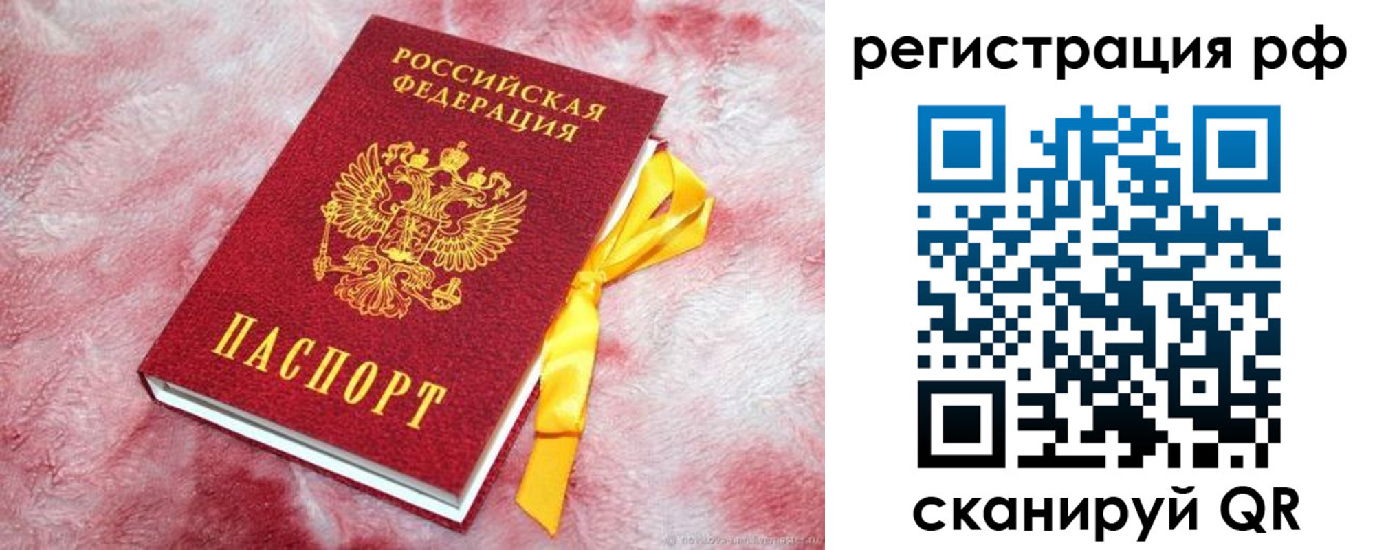 прописка в Болотном